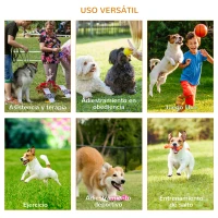 PawHut Conjunto 4 Obstáculos de Entrenamiento para Perro Set de Agilidad para Mascotas Estable Altura Ajustable de Aro con Túnel Postes y Bolsa Transporte Amarillo(m-5)