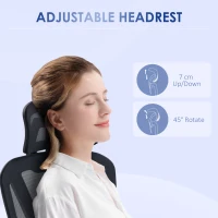 Vinsetto Mesh Office Chair, Height Adjustable Desk Chair with Lumbar Support, Swivel Wheels and Adjustable Headrest, Black(m-5)
