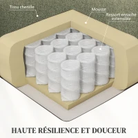 HOMCOM Fauteuil releveur relax électrique, fonction massage et chaleur, inclinaison réglable, repose-pied, télécommandes, vert(m-6)