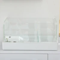 PawHut Turtle Tank, Aquarium Glass Tank w/ Basking Platform, Filter Layer(m-9)