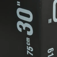 HOMCOM Cajón de Salto 3 en 1 con Cremallera y 3 Alturas Diferentes Carga 120 kg para Casa Oficina Gimnasia  75x51x61 cm Negro(m-7)