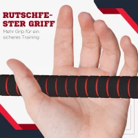 HOMCOM 2 in 1 Hanteln Set 25 kg verstellbare Kurzhantel & Langhantel professionell Dumbbell Krafttraining und Gewichtheben für Zuhause Fitness(m-5)