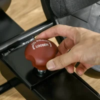 HOMCOM Vogatore Professionale per Casa con 8 Livelli di Resistenza Magnetica, Ruote e Monitor Digitale, Vogatore Pieghevole in Acciaio e ABS, 180x48x60cm, Nero e Grigio(m-9)