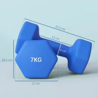 SPORTNOW Set 2 Manubri Esagonali da 2x7kg in Metallo e Plastica con Impugnatura Antiscivolo, 22.5x10.5x10.5 cm, Blu(m-3)