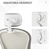 Vinsetto Multi-Adjustable Office Chair, with Lumbar Support, Headrest and Mesh Back - Grey(m-6)