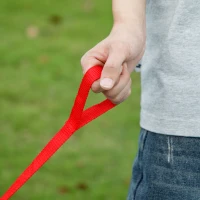 AIYAPLAY Correpasillos Wiggle con Cuerda de Tracción para Padres Música Luz y Espacio de Almacenamiento 69x31x69 cm Caqui(m-9)