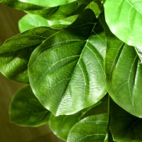 HOMCOM Conjunto de 2 Plantas Artificiales Decorativas 110x15 cm Árboles Artificiales de Ficus con 90 Hojas y Macetas Verde(m-8)