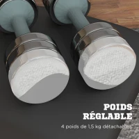 SPORTNOW Set de 2 haltères ensemble musculation 4 disques poids réglables et boîte de rangement gym fitness 2 x 10 kg gris(m-5)