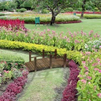 Outsunny Gartenbrücke Holzbrücke Holzsteg Teichbrücke Zierbrücke mit Geländer bis 180 kg Tannenholz Dunkelbraun 152,5 x 67 x 48 cm(m-2)