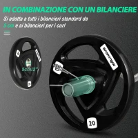 SPORTNOW Set di 2 Dischi Pesi da 20kg in Acciaio con Rivestimento in Gomma per Bilanciere(m-5)