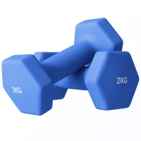SPORTNOW 2 x 2kg Hexagonal Dumbbells Weights Set with Non-Slip Grip for Home Gym Workout, Blue(m-1)