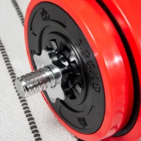 HOMCOM Set Bilanciere e Dischi 65kg totali per Workout in Casa, in Metallo, Sabbia di Ferro e Gomma, Rosso(m-8)