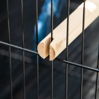 PawHut Grande Cage à Oiseaux sur pied double avec mangeoires perchoirs plateau amovible roulettes - Dim. 51,5L x 50l x 140H cm(m-9)