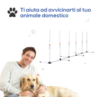 PawHut Set Agility Dog con 6 Pali in PE e Borsa di Trasporto Inclusa, Bianco(m-4)