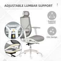 Vinsetto Ergonomic Office Chair with 360° , Wheel, Mesh Back, Adjustable Height & 3D Armrest for Home Office, Grey(m-5)