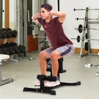 HOMCOM Squat Bench Trainer Sit Up Machine Multifunctional Equipment Abdomen and Leg Strength Indoor Household Fitness Device Black(m-2)