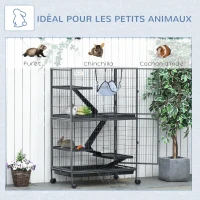 Pawhut Cage pour rongeurs Multifonction 4 Plateformes 3 rampes 4 Portes dim. 80L x 52l x 128H cm métal Gris argenté Noir(m-4)