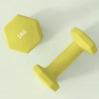 SPORTNOW 2 x 1kg Hexagonal Dumbbells Weights Set with Non-Slip Grip for Home Gym Workout, Yellow(m-9)