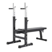 HOMCOM Banco de Pesas Plegable Banco de musculación Entrenamiento Máquina Gimnasio Gym Altura Ajustable Carga 150kg(m-9)