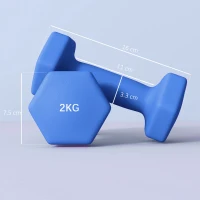 SPORTNOW 2 x 2kg Hexagonal Dumbbells Weights Set with Non-Slip Grip for Home Gym Workout, Blue(m-3)