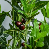 Outsunny Arbre Artificiel Olivier Plante Artificiel Hauteur 1,2 m Tronc Branches Lichen Feuilles Grand réalisme Pot Inclus(m-7)