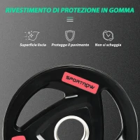 SPORTNOW Set di 2 Dischi Pesi da 10kg in Acciaio con Rivestimento in Gomma per Bilanciere(m-6)