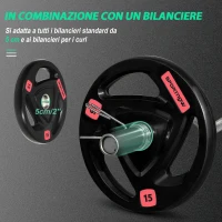 SPORTNOW Set di 2 Dischi Pesi da 15kg in Acciaio con Rivestimento in Gomma per Bilanciere(m-5)