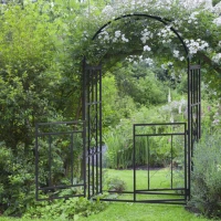 Outsunny Outdoor Garden Arch with Double Gates, Metal Garden Arbor for Climbing Plants, Roses, Vines, Wedding Arch for Outdoor, 114L x 50W x 206H cm, Dark Grey(m-10)