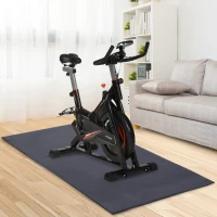 HOMCOM Stationary Exercise Bike 10kg Flywheel Gym Office Cycling Training Fitness w/ LCD Monitor, Protection Mat(m-2)