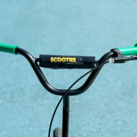 AIYAPLAY Trottinette patinette scooter enfant grandes roues de 6 à 12 ans hauteur réglable frein arrière béquille vert(m-8)