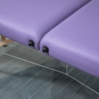 HOMCOM Portable Massage Bed, Folding Spa Beauty Massage Table with 2 Sections, Carry Bag and Wooden Frame, Purple(m-9)