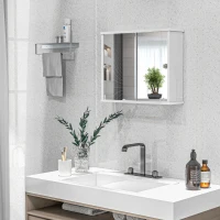 kleankin Armario con Espejo de Pared con Estante Ajustable y Puerta Corredera Doble para Lavabo 55x15x45 cm Blanco Brillante(m-6)