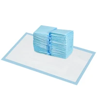 PawHut Empapadores para Perros 100 Unidad 45x60 cm Diseño de 6 Capas con Superficie de Secado Rápido a Prueba de Fugas Azul(m-11)