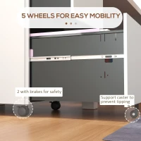 Vinsetto 2-Drawer Vertical Filing Cabinet with Lock and 5 Wheels, Steel Mobile File Cabinet, for A4, Legal and Letter Size, Pre-Assembled Body, White(m-7)