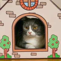 PawHut Two-In-One Cat House, Cat Scratching Board with Scratcher, Catnip, Cat Cardboard Scratcher for Indoor Cats(m-9)