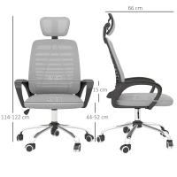 Vinsetto Ergonomic Office Chair, Mesh Desk Chair with Rotatable Headrest, Lumbar Back Support, Armrest, Grey(m-3)