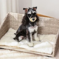 PawHut Canapé chien chat lit pour animaux de compagnie panier en résine tressée imitation rotin PE coussin moelleux 70,5 x 40 x 37,5 cm gris clair blanc(m-8)