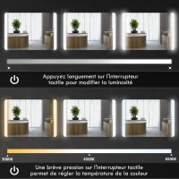 HOMCOM Miroir de salle de bain rectangulaire lumineux LED fonction anti-buée luminosité réglable 50 x 70 cm argent(m-5)