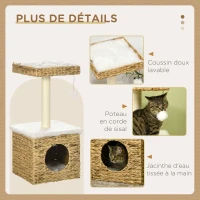 PawHut Arbre à chat 2 niveaux avec 1 niche 1 poteau sisal 1 plateforme d'observation et 1 pompon suspendu jacinthe d'eau(m-6)