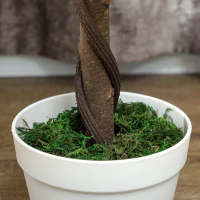 Outsunny Set of Two Faux Rose Trees - Green(m-9)