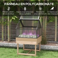 Outsunny Mini Serre sur Pieds dim.  60L x 57l x 103H cm double toit ouvrable Panneaux de Polycarbonate, acier, Bois Sapin traité(m-4)