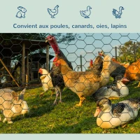 PawHut Grillage à poule rouleau - 25L x 1H m  - acier revêtement PVC vert(m-4)
