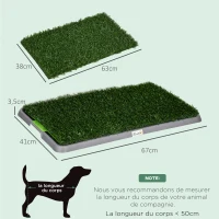 PawHut Toilette pour chien litière avec tapis en gazon artificiel bac pour l'apprentissage de la propreté,  67 x 41 cm(m-3)