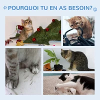 PawHut Arbre à chats design contemporain griffoirs grattoirs sisal naturel centre d'activités niche plate-formes jeu boules suspendues 71,5L x 49,5l x 120H cm MDF hêtre gris(m-7)