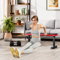 SPORTNOW Panca Piana per Pesi e Addominali in Acciaio con Cuscino e Capacità 300kg, 106x26x48cm, Nero(m-7)
