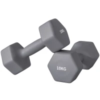 SPORTNOW Set 2 Manubri Esagonali da 2x10 kg in Metallo e Plastica con Impugnatura Antiscivolo, 26x12x12 cm, Grigio(m-10)