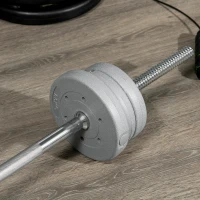 SPORTNOW Bilanciere da Squat, Stacchi da Terra e Sollevamenti, per Pesi da Ø2.5 cm da 100kg mx, in Acciaio, Ø2.5x170 cm, Argento(m-8)