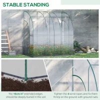Outsunny Walk-In Greenhouse, Lean-to Small Greenhouse with Zipped Roll Up Doors, Tomato Greenhouse with Plastic Cover and Sloping Top for Flowers, Vegetables and Herbs, 214cm x 118cm x 212cm, Clear(m-7)