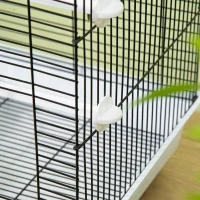 PawHut Gabbia per Uccelli in Metallo con Maniglia, Vassoio Estraibile, Pioli e Altalena, 39x33x47cm, Bianco(m-9)