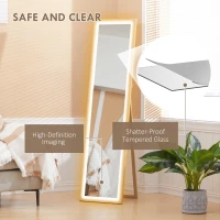 HOMCOM Full Length Mirror, with Adjustable Outer Light, Oak(m-8)